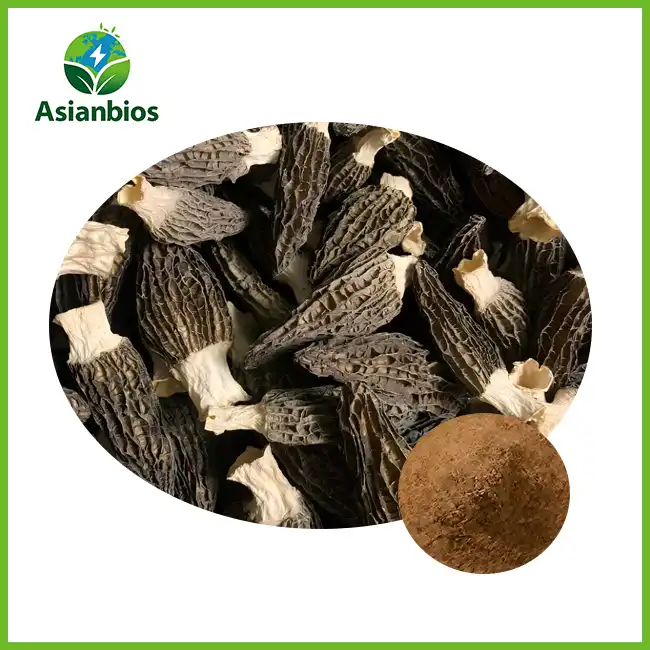 Morel Mushroom Powder